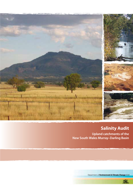 Salinity Audit: Upland Catchments of the NSW Murray Darling Basin