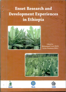 Enset Research and Development Experiences in Ethiopia