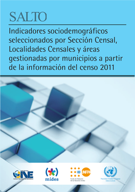 Indicadores Sociodemográficos Seleccionados Por Sección Censal