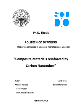 “Composite Materials Reinforced by Carbon Nanotubes”