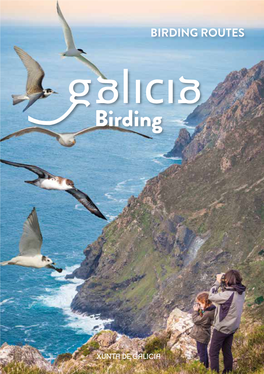 Birding Birding Routes Routes of Galicia