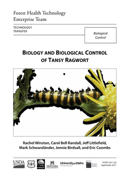 Tansy Ragwort