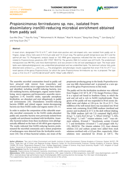 Propionicimonas Ferrireducens Sp. Nov., Isolated from Dissimilatory Iron(III)-Reducing Microbial Enrichment Obtained from Paddy Soil