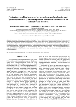 Dipterocarpaceae), Pure Culture Characteristics, and Molecular Detection