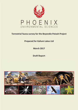 Terrestrial Fauna Survey for the Beyondie Potash Project Prepared for Kalium Lakes Ltd March 2017 Draft Report