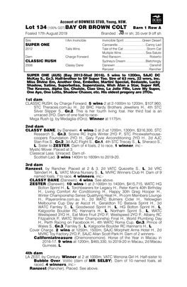 Lot 134 (100% GST)BAY OR BROWN COLT Barn 1 Row a Foaled 17Th August 2019 Branded : Nr Sh; 35 Over 9 Off Sh