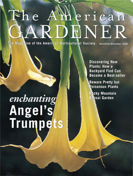 Angel's Trumpets & Thornapples