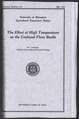 The Effect of High Temperature on the Confused Flour Beetle