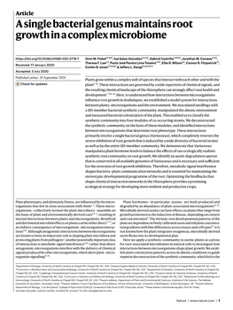 A Single Bacterial Genus Maintains Root Growth in a Complex Microbiome