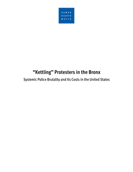 Protesters in the Bronx Systemic Police Brutality and Its Costs in the United States