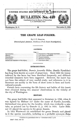 The Grape Leaf-Folder