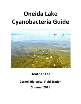 Oneida Lake Cyanobacteria Guide