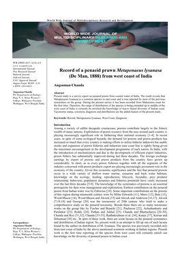 Record of a Penaeid Prawn Metapenaeus Lysanasa (De Man