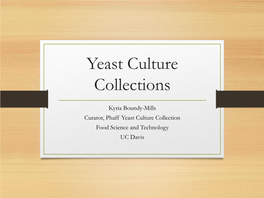 Yeast Culture Collections