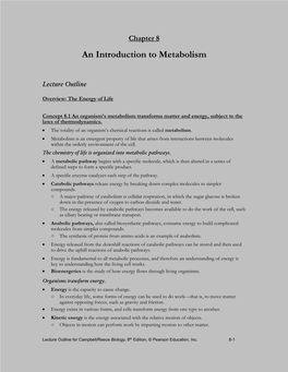 Chapter 6 an Introduction to Metabolism