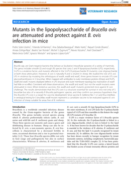 Brucella Ovis Are Attenuated and Protect Against B