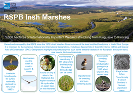 Insh Marshes