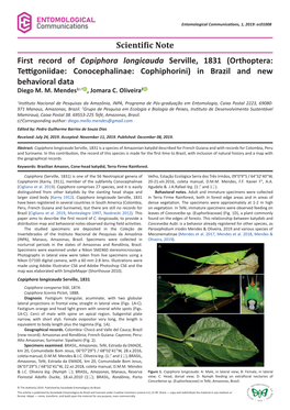 Orthoptera: Tettigoniidae: Conocephalinae: Cophiphorini) in Brazil and New Behavioral Data Diego M