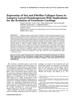 Expression of Sox and Fibrillar Collagen Genes in Lamprey Larval