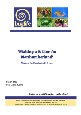 'Making a B-Line for Northumberland'