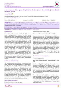 RESEARCH ARTICLE a New Species of the Genus Neophyllobius Berlese