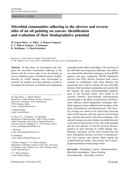 Microbial Communities Adhering to the Obverse and Reverse Sides of an Oil Painting on Canvas: Identiﬁcation and Evaluation of Their Biodegradative Potential