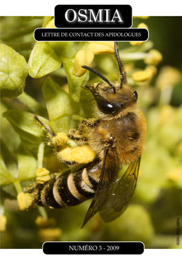 Numéro 3 - 2009 Osmia