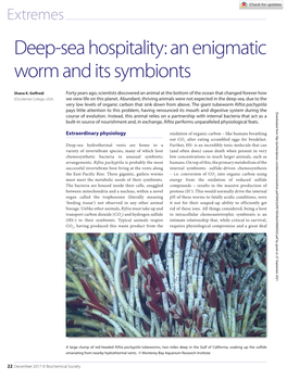 Extremes Deep-Sea Hospitality: an Enigmatic Worm and Its Symbionts