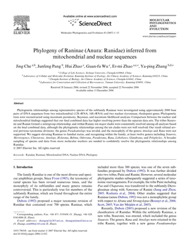 Phylogeny of Raninae (Anura: Ranidae) Inferred from Mitochondrial and Nuclear Sequences