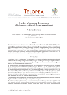 A Review of the Genus Stenochlaena (Blechnaceae, Subfamily Stenochlaenoideae)