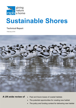 Sustainable Shores