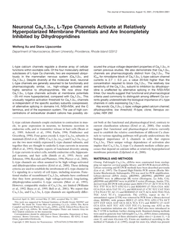 Neuronal Cav1.3Α1 L-Type Channels Activate at Relatively