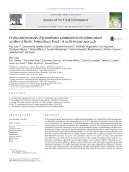 Origins and Processes of Groundwater Salinization in the Urban Coastal Aquifers of Recife (Pernambuco, Brazil): a Multi-Isotope Approach