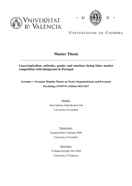 Master Thesis