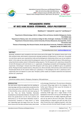 Phylogenetic Status of Rice Dark Headed Stemborer, Chilo Polychrysus