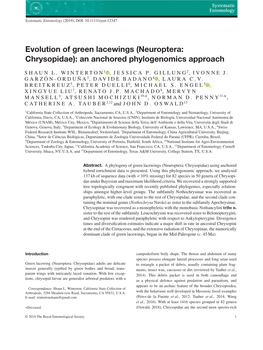 (Neuroptera: Chrysopidae): an Anchored Phylogenomics Approach