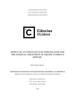 Design of an Endovascular Morcellator for the Surgical Treatment of Equine Cushing’S Disease