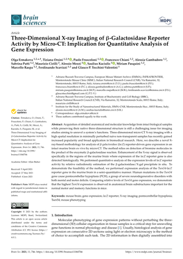 Three-Dimensional X-Ray Imaging of Β-Galactosidase Reporter Activity by Micro-CT: Implication for Quantitative Analysis of Gene Expression