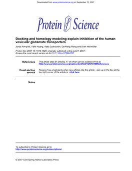 Docking and Homology Modeling Explain Inhibition of the Human Vesicular Glutamate Transporters