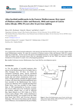 Alien Facelinid Nudibranchs in the Eastern Mediterranean