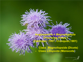 Angiosperms = Magnoliophyta (Flowering Plants ) (Takhtajan ,1987; Cronquist,1981)