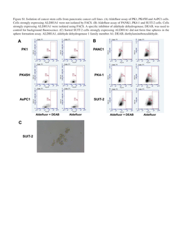 Figure S1. Isolation of Cancer Stem Cells from Pancreatic Cancer Cell Lines. (A) Aldefluor Assay of PK1, PK45H and Aspc1 Cells