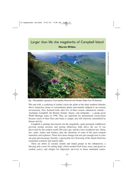 Larger Than Life: the Megaherbs of Campbell Island Martin Wilkie © Rob Suisted