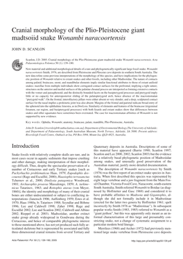 Cranial Morphology of the Plio-Pleistocene Giant Madtsoiid