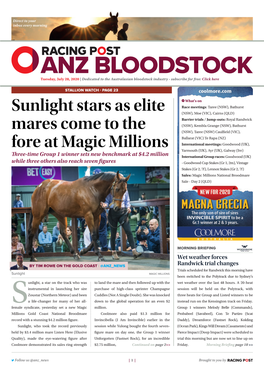 Sunlight Stars As Elite Mares Come to the Fore at Magic Millions | 2 | Tuesday, July 28, 2020