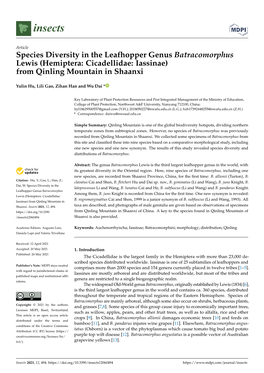 Species Diversity in the Leafhopper Genus Batracomorphus Lewis (Hemiptera: Cicadellidae: Iassinae) from Qinling Mountain in Shaanxi