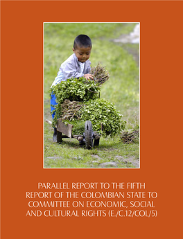 Parallel Report to the Fifth Report of the Colombian