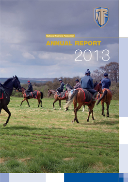 ANNUAL REPORT 2013 NTF to SUPPORT Association of Air Ambulances