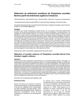 Obtención De Embriones Somáticos De Parajubaea Cocoides Burret a Partir De Embriones Cigóticos Inmaduros