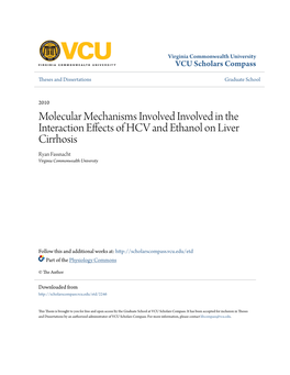 Molecular Mechanisms Involved Involved in the Interaction Effects of HCV and Ethanol on Liver Cirrhosis Ryan Fassnacht Virginia Commonwealth University